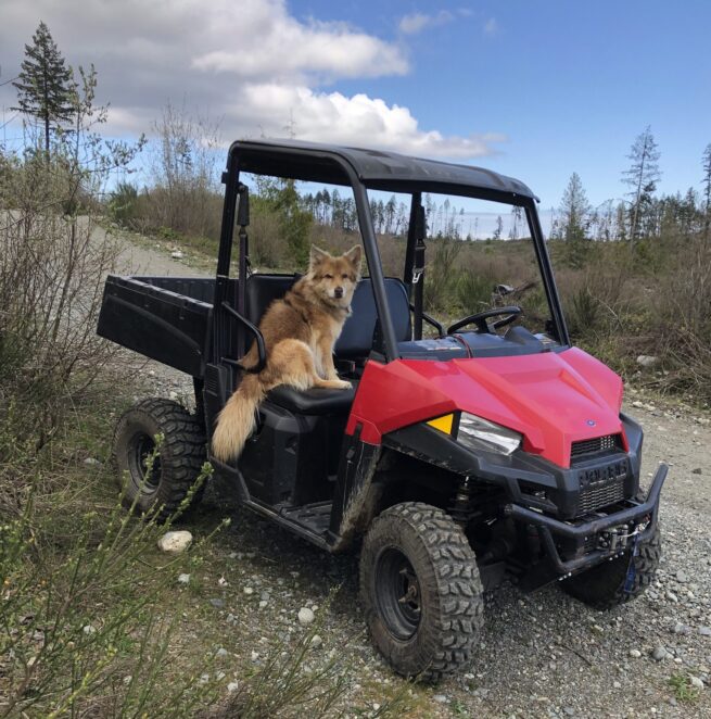 15.6kWh  304AH  LFP  Battery For The Ranger EV - Image 12